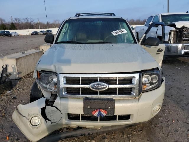 2009 Ford Escape XLT