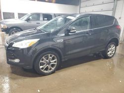 Salvage cars for sale at Blaine, MN auction: 2013 Ford Escape SEL