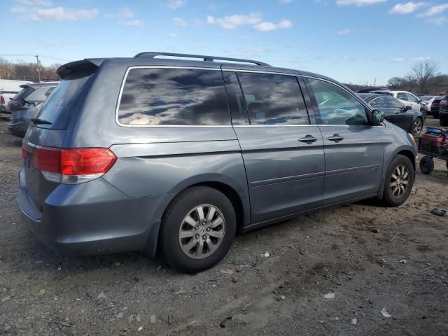 2010 Honda Odyssey EXL