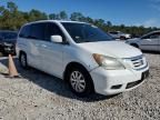 2010 Honda Odyssey EXL