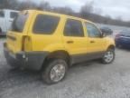 2003 Ford Escape XLT