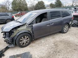 2016 Honda Odyssey EXL en venta en Madisonville, TN