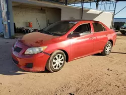 Toyota Vehiculos salvage en venta: 2009 Toyota Corolla Base