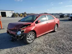 Salvage cars for sale at Lumberton, NC auction: 2010 Toyota Corolla Base