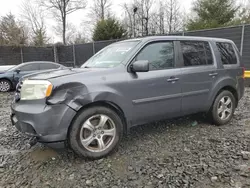 Salvage cars for sale at Waldorf, MD auction: 2013 Honda Pilot EXL