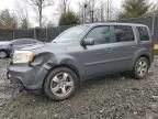 2013 Honda Pilot EXL