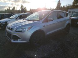 Ford salvage cars for sale: 2015 Ford Escape SE