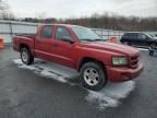 2010 Dodge Dakota SXT