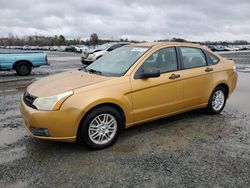 Ford Focus salvage cars for sale: 2009 Ford Focus SE