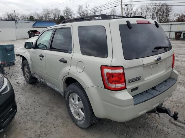 2009 Ford Escape XLT