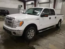 2014 Ford F150 Supercrew en venta en Avon, MN