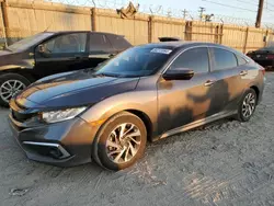 Salvage cars for sale at Los Angeles, CA auction: 2017 Honda Civic EX