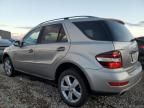 2009 Mercedes-Benz ML 350