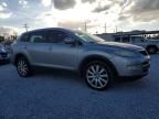 2009 Mazda CX-9