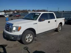 Ford salvage cars for sale: 2012 Ford F150 Supercrew