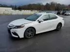 2023 Toyota Camry SE Night Shade