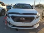 2015 Hyundai Sonata ECO