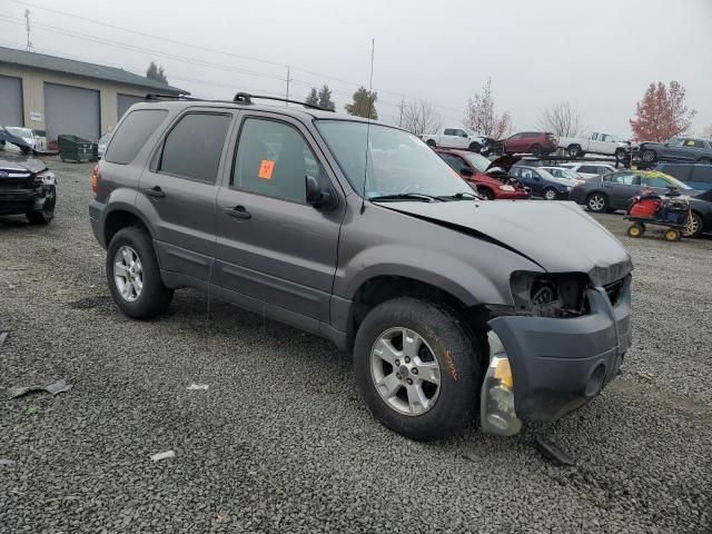 2005 Ford Escape XLT