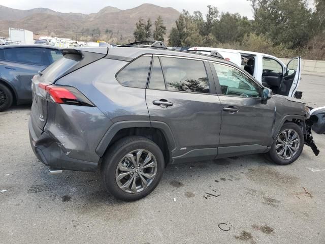 2024 Toyota Rav4 XLE Premium