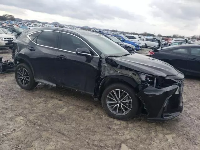 2025 Lexus NX 350H Base