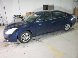 Salvage cars for sale at Lexington, KY auction: 2010 Nissan Altima Base