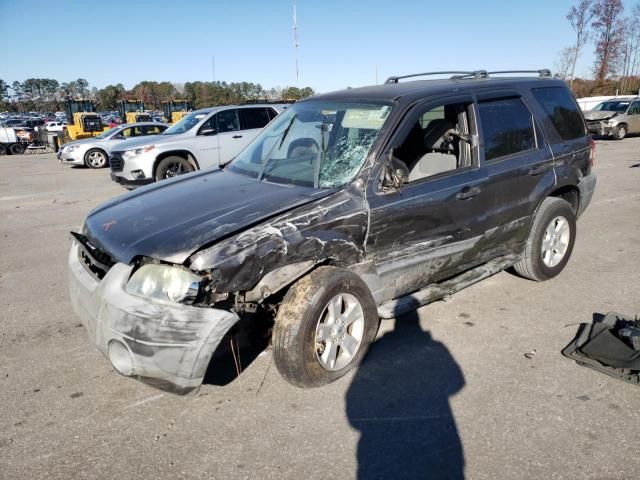 2005 Ford Escape XLT