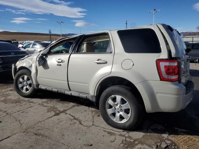 2009 Ford Escape Limited