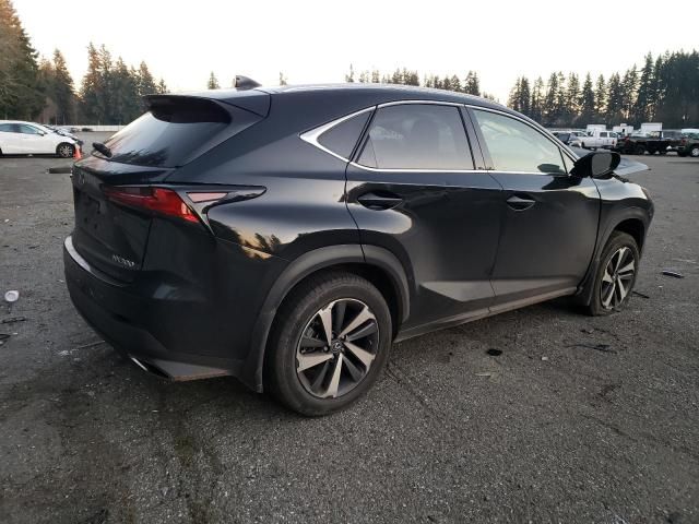 2021 Lexus NX 300 Base