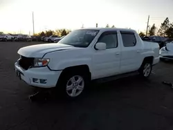 Salvage cars for sale at Denver, CO auction: 2014 Honda Ridgeline RTL