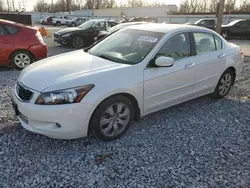 2010 Honda Accord EXL en venta en Columbus, OH