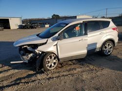 Ford salvage cars for sale: 2013 Ford Escape SEL