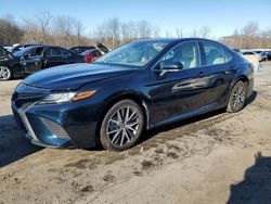 Salvage cars for sale at Marlboro, NY auction: 2021 Toyota Camry XLE