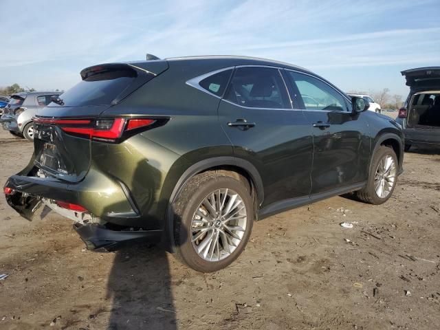 2023 Lexus NX 350H