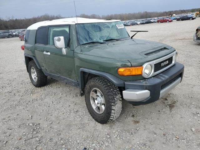 2010 Toyota FJ Cruiser