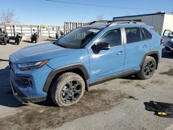 Salvage cars for sale at Anthony, TX auction: 2024 Toyota Rav4 TRD OFF Road