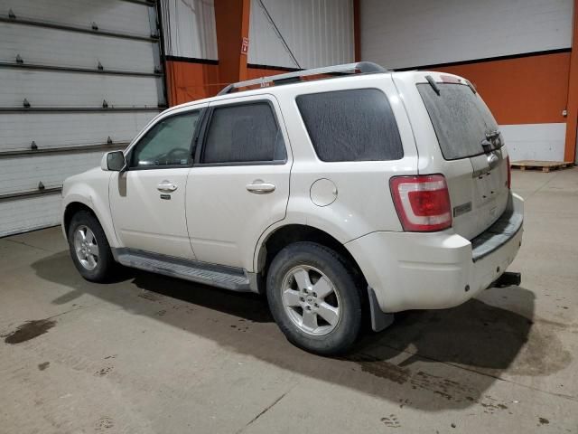 2011 Ford Escape Limited