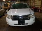 2008 Ford Escape HEV