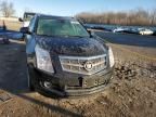 2010 Cadillac SRX Premium Collection