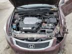 2008 Honda Accord EX