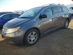 Honda salvage cars for sale: 2011 Honda Odyssey EXL