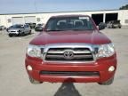 2010 Toyota Tacoma Double Cab Prerunner