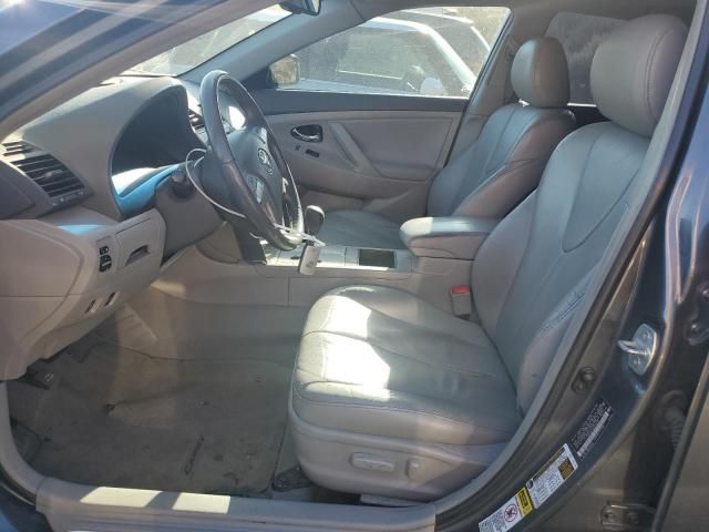 2009 Toyota Camry Hybrid