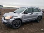 2007 Honda CR-V LX