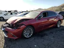 Salvage cars for sale at Colton, CA auction: 2019 Lexus ES 300H