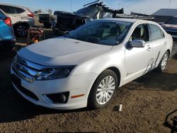 Salvage cars for sale from Copart Brighton, CO: 2011 Ford Fusion Hybrid