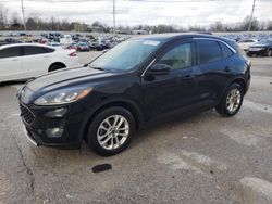 Salvage cars for sale at Lawrenceburg, KY auction: 2020 Ford Escape SE