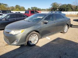 Salvage cars for sale from Copart Theodore, AL: 2013 Toyota Camry Hybrid