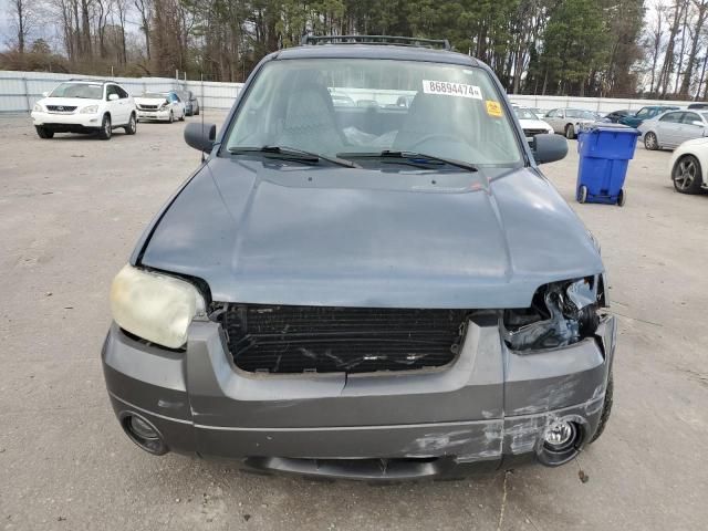 2005 Ford Escape XLT