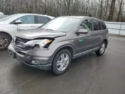 Salvage SUVs for sale at auction: 2010 Honda CR-V EXL