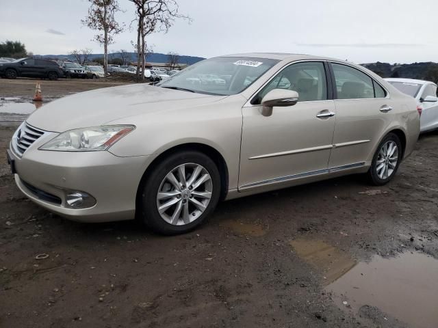 2010 Lexus ES 350